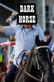 Dark Horse movie poster