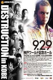 NJPW Destruction 2013 movie poster