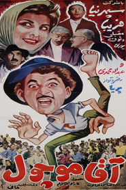Mr. Moochool movie poster