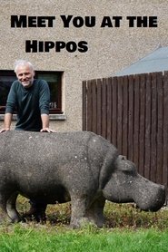 Meet You at the Hippos movie poster
