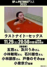 Last Night Sex movie poster