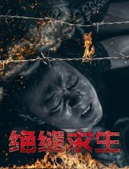 绝缝求生 movie poster