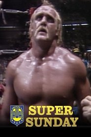 AWA Super Sunday movie poster