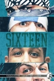 PWG: SIXTEEN movie poster