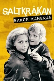 Saltkråkan - bakom kameran movie poster